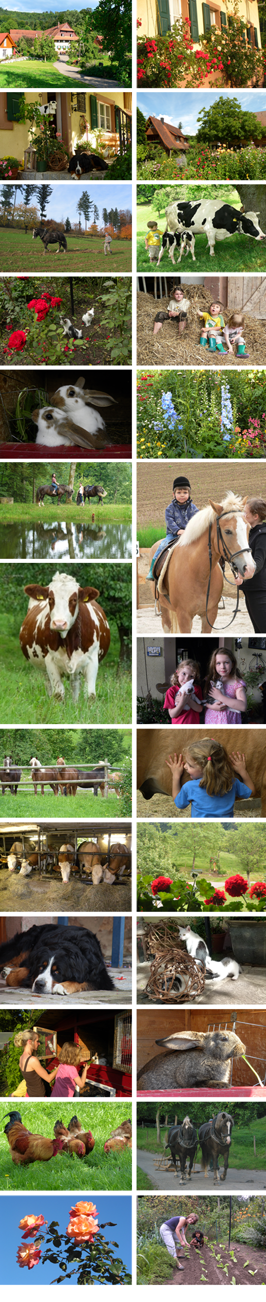 Impressionen von Ihrem Ferienaufenthalt auf dem Bauernhof