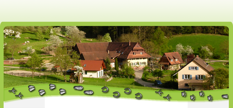 Ferien im Herzen des Schwarzwaldes - der Sesterhof